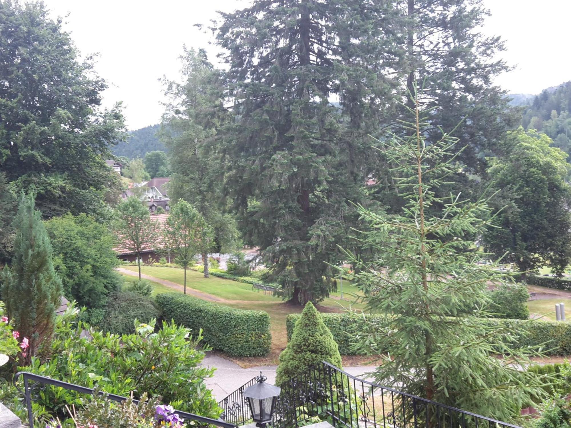 Haus Kurparkblick Villa Todtmoos Exteriör bild