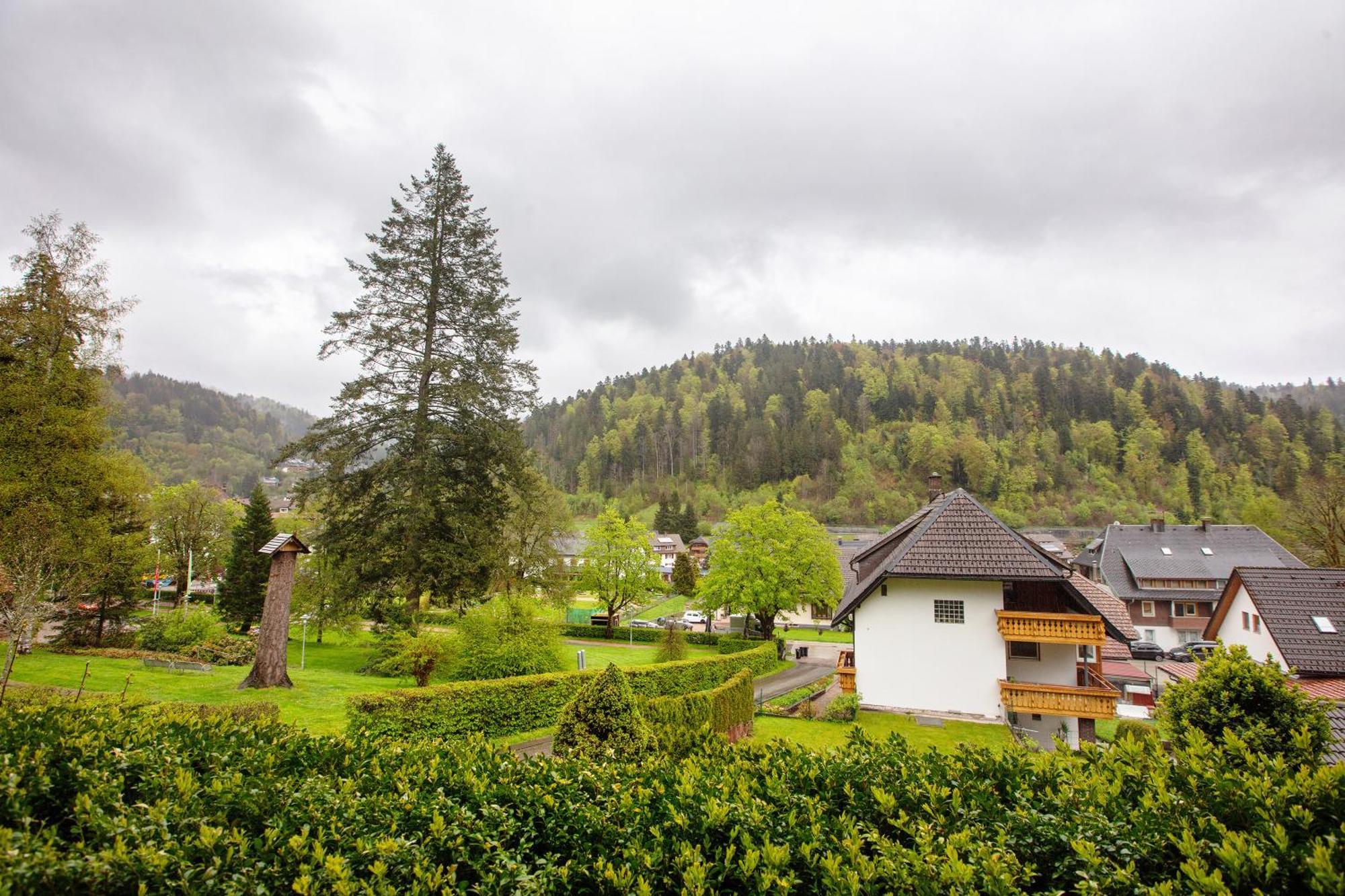 Haus Kurparkblick Villa Todtmoos Exteriör bild